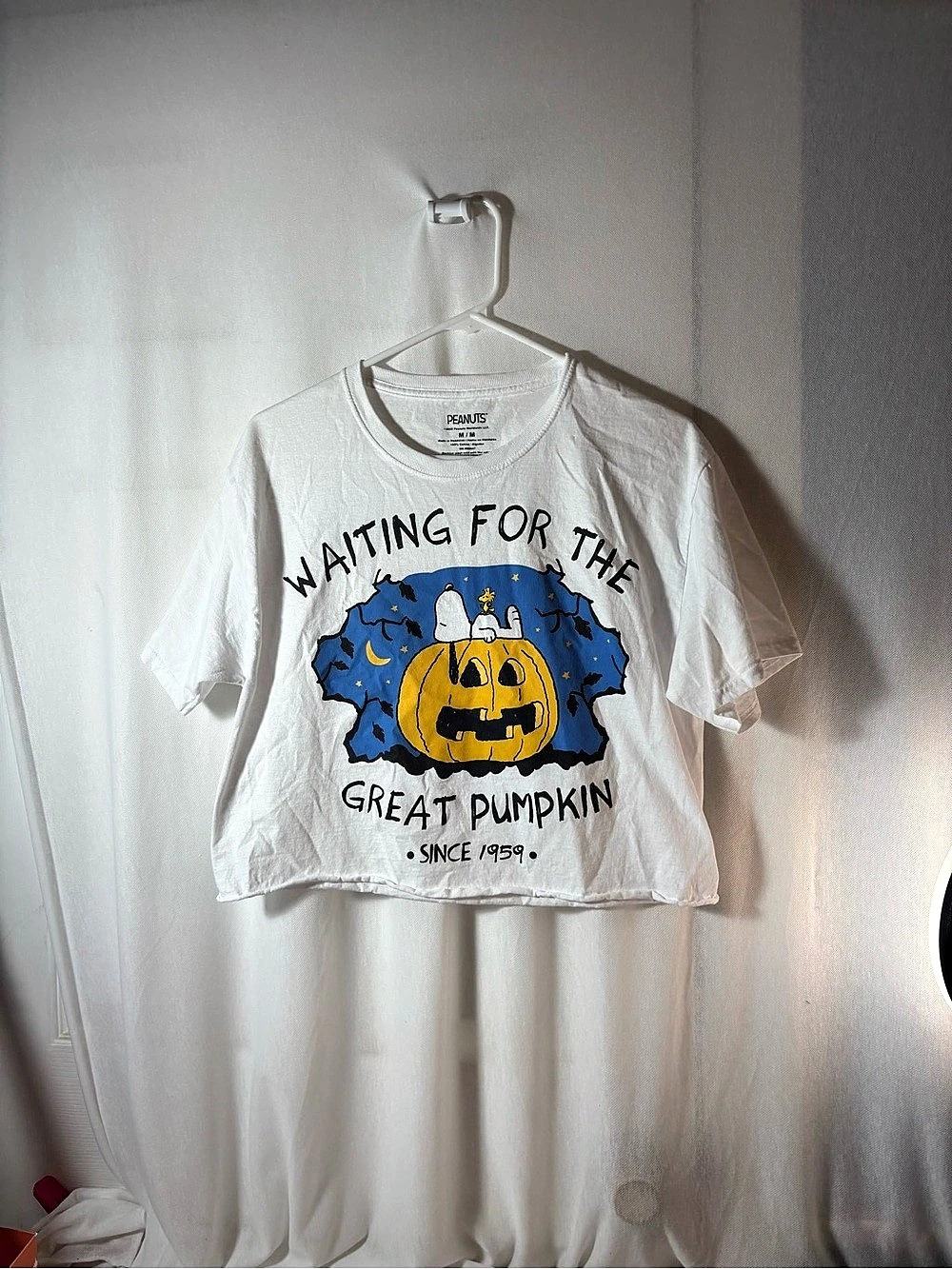 PEANUTS Great Pumpkin Graphic Tee White & Blue Medium, crop